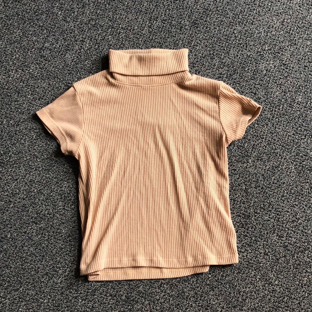 turtle neck crop top